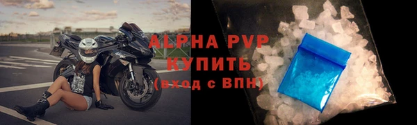 стафф Ладушкин