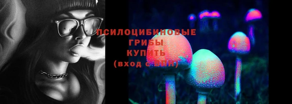 соль ск Лагань