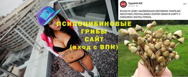 соль ск Лагань