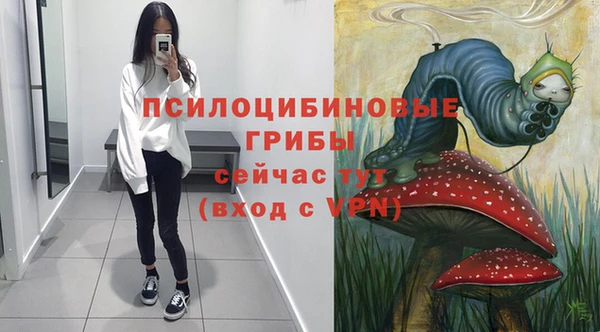 стафф Ладушкин