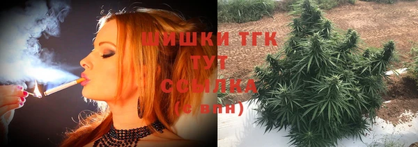 соль ск Лагань