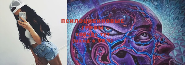 стафф Ладушкин
