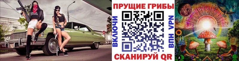 Купить  Балашов  Галлюциногенные грибы ЛСД 