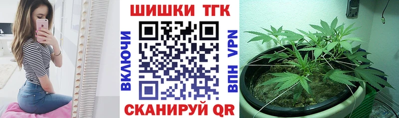 Купить где  Балашов  Бошки Шишки планчик 